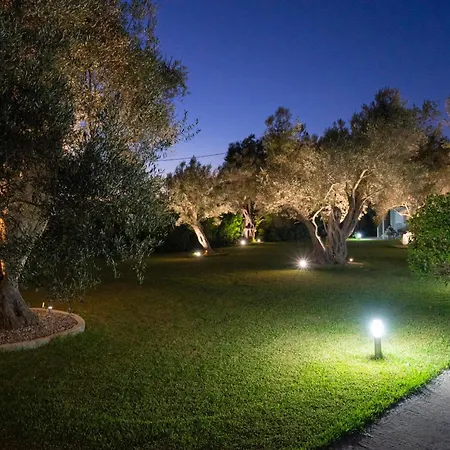 Daire Studios Niki B. *