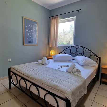 Studios Niki B. Daire